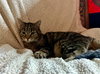 Earlene - Photo 1
