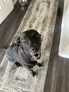 Annie - Photo 3
