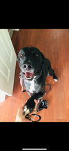 Annie - Photo 5