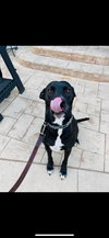 Annie - Photo 6
