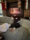 Linus - Photo 4