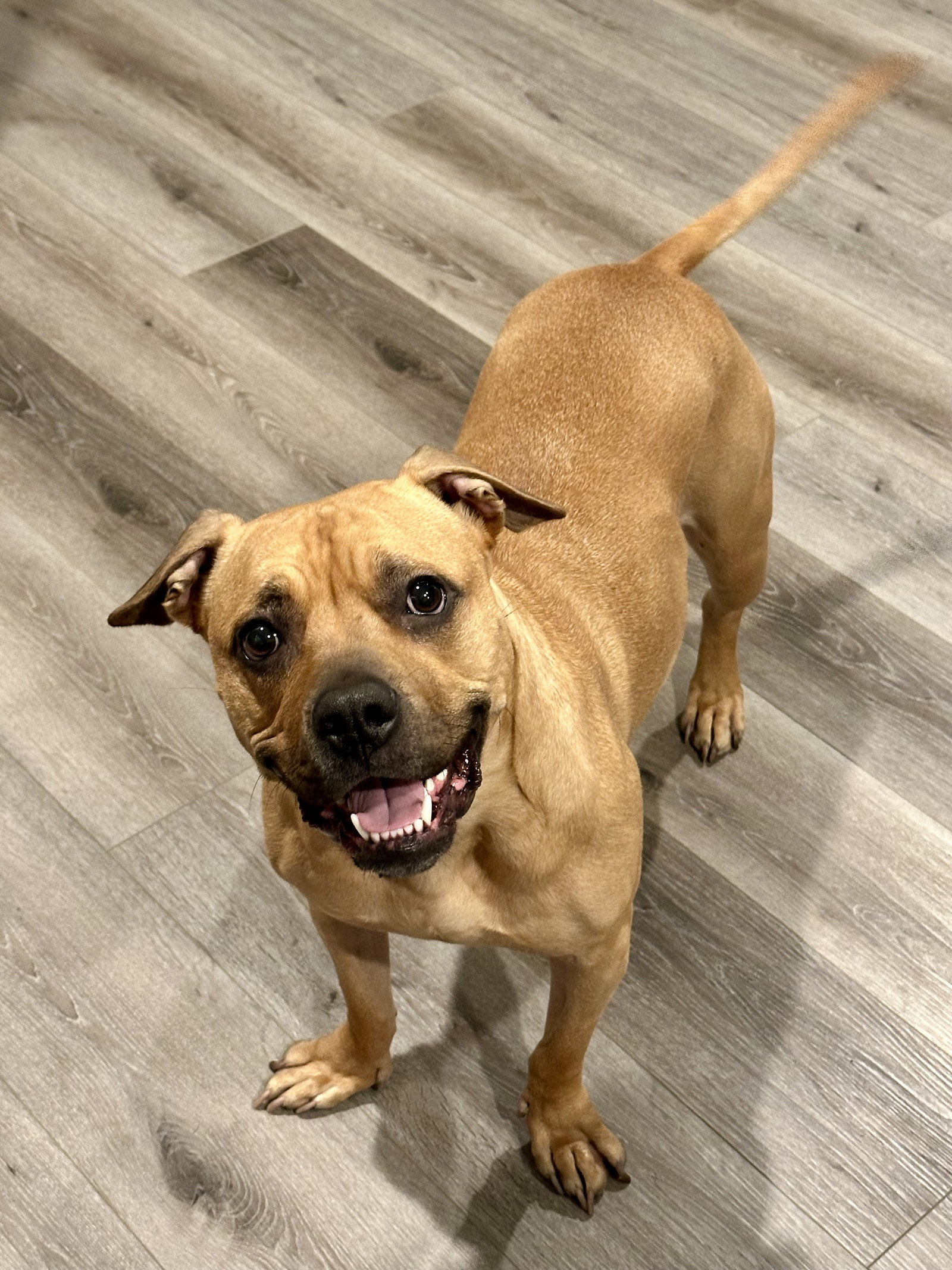 Kona Image