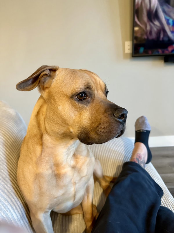 Kona
