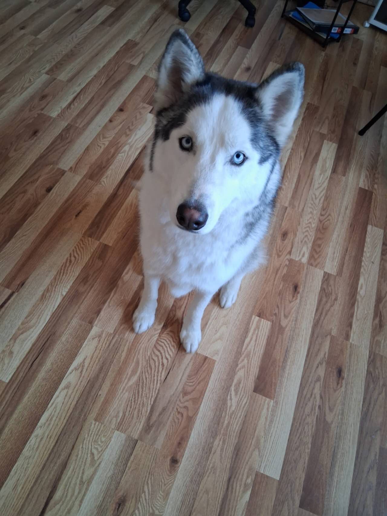 Max Image