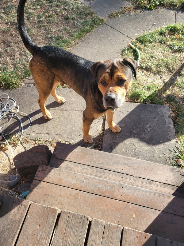 Zeus