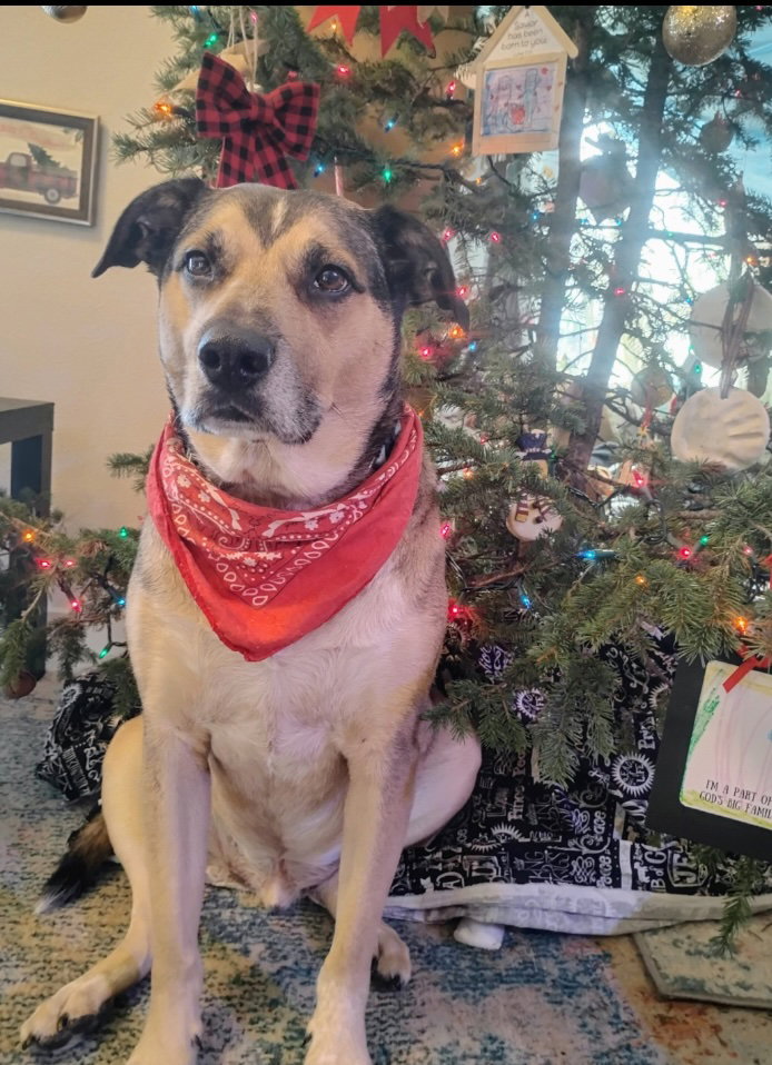Buddy Ralph