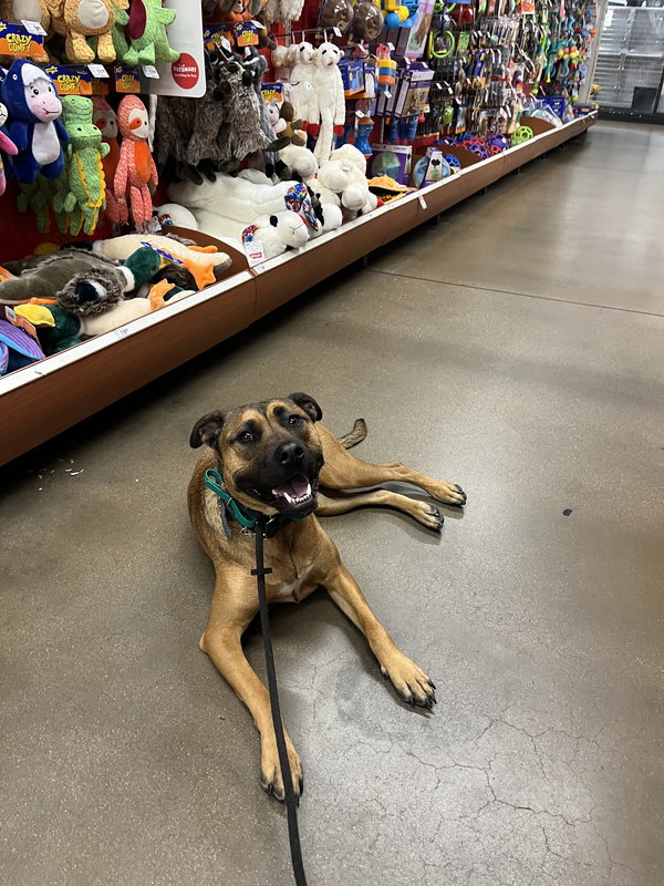 Nalla