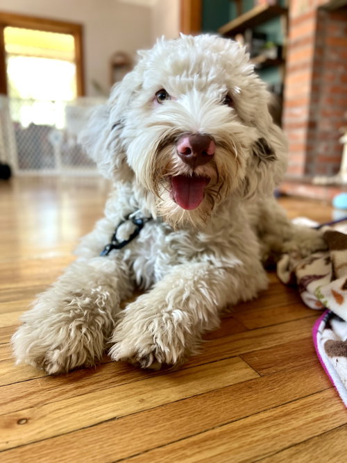Benny