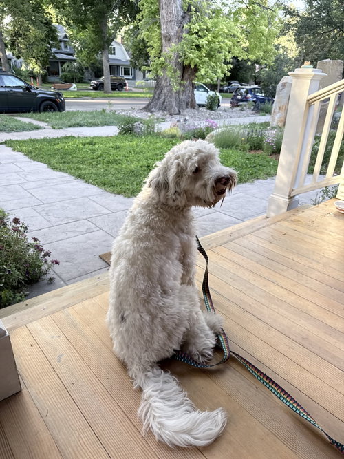 Benny photo 3