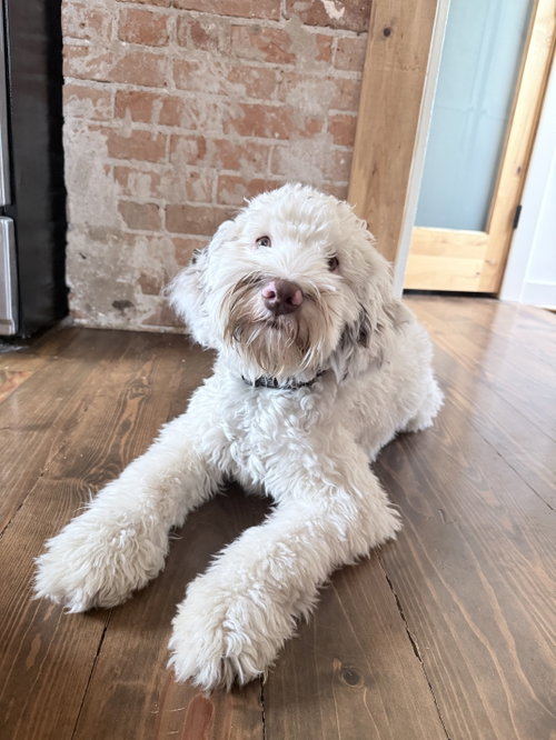 Benny photo 4