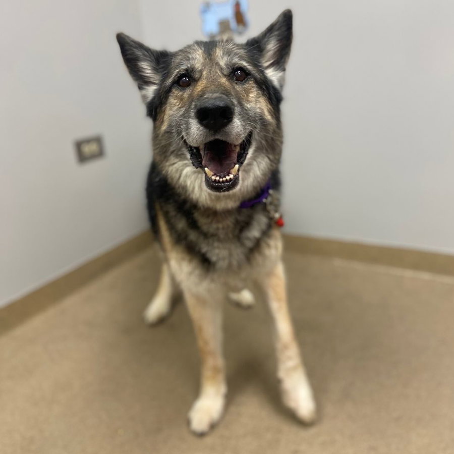 Max