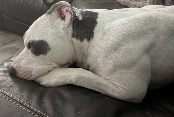 Hera