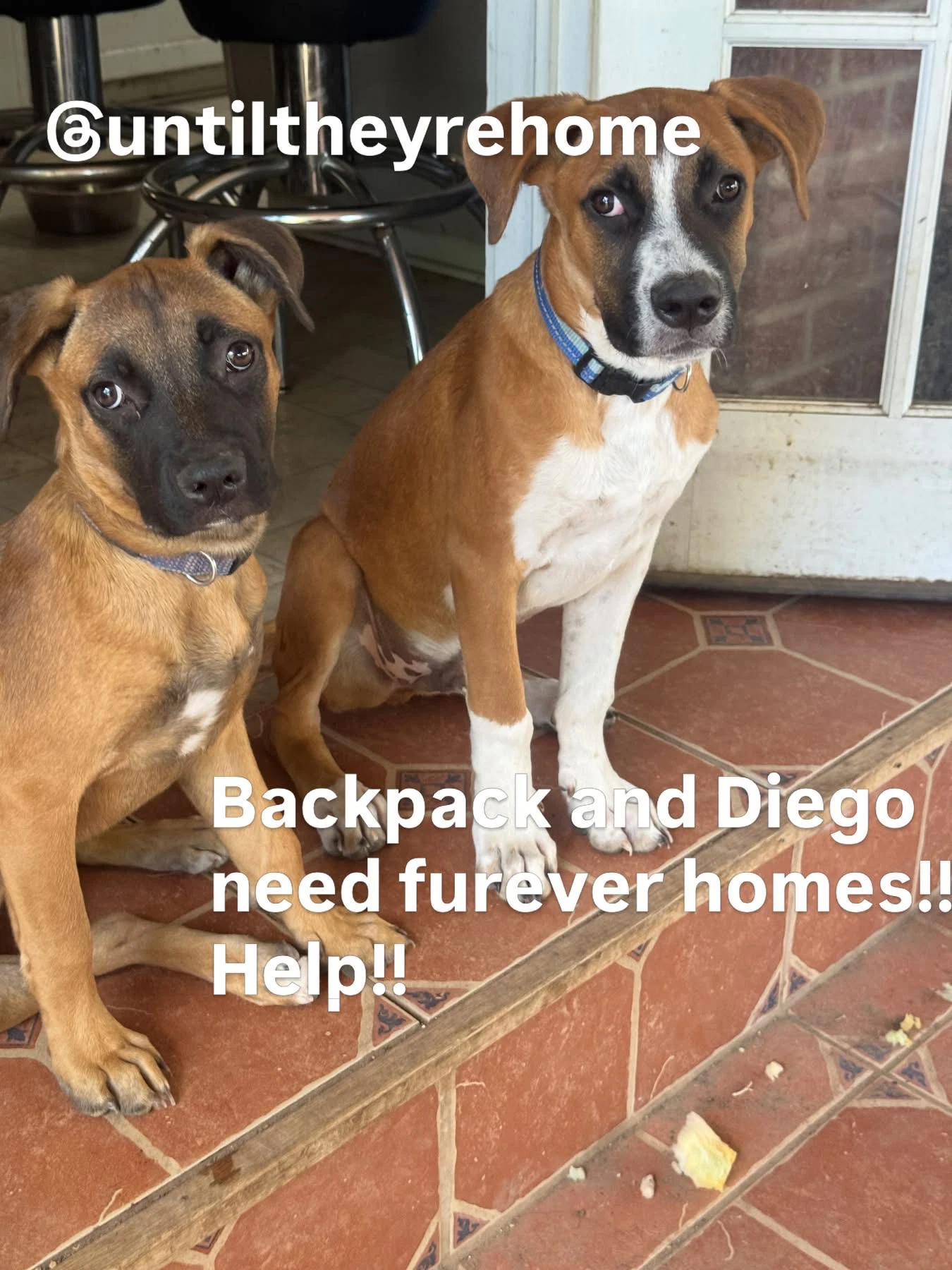 Diego