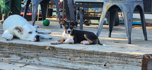 Swiper photo 3