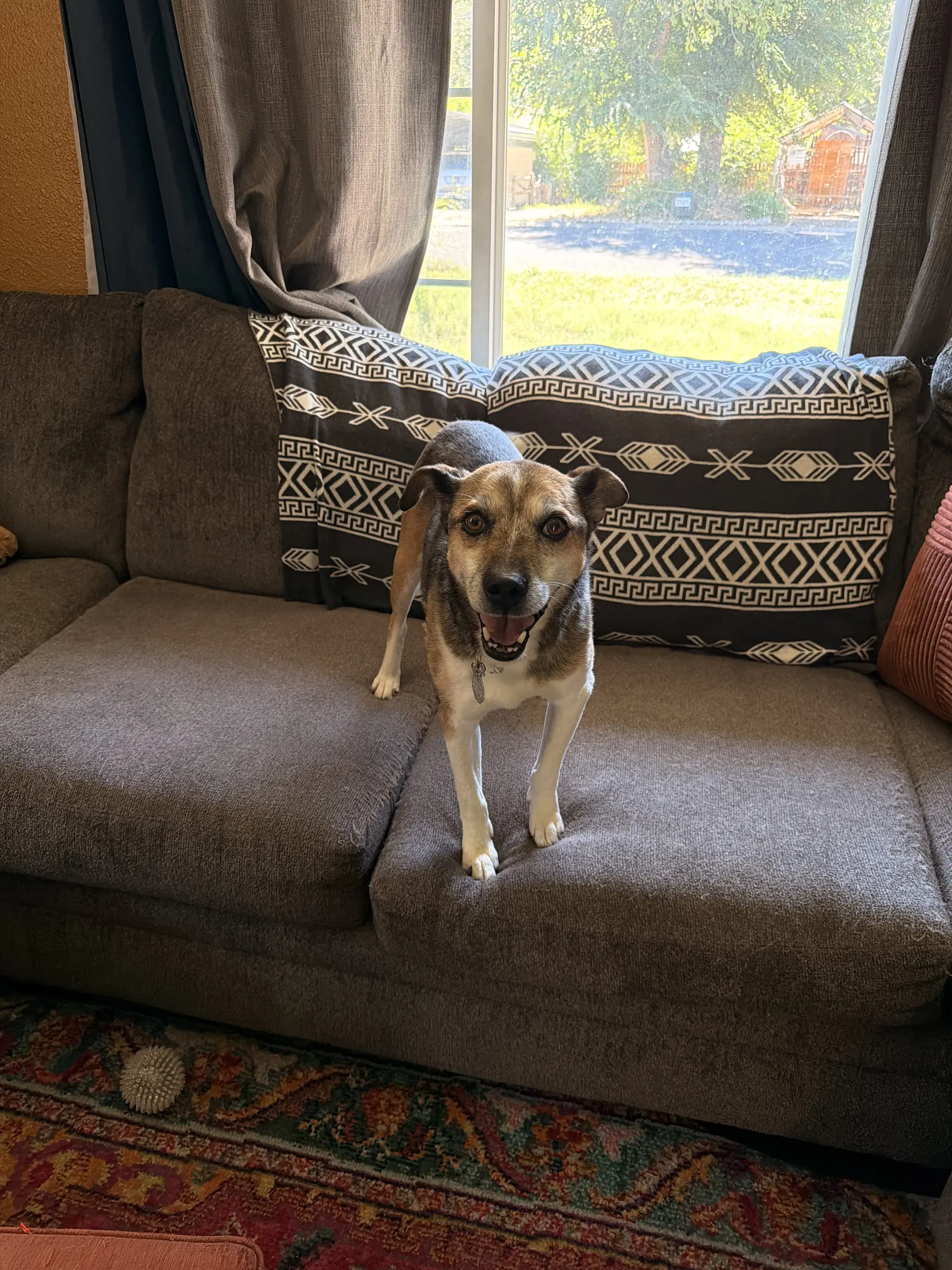 Kuzco image 3