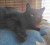 Rowena - Photo 3