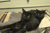 Stitch - Photo 1