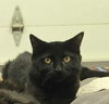 Stitch - Photo 2