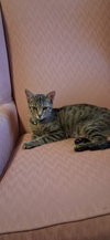 Margie - Photo 3
