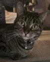 Roxy - Photo 1