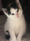 Hazel - Photo 1