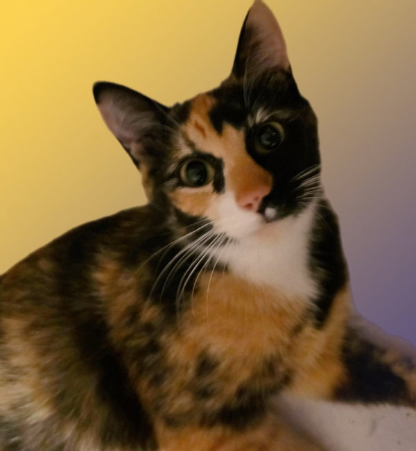 Precious