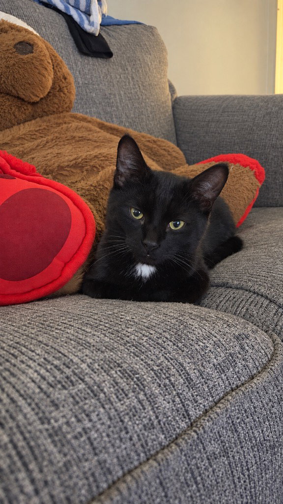 Pete, photo 3
