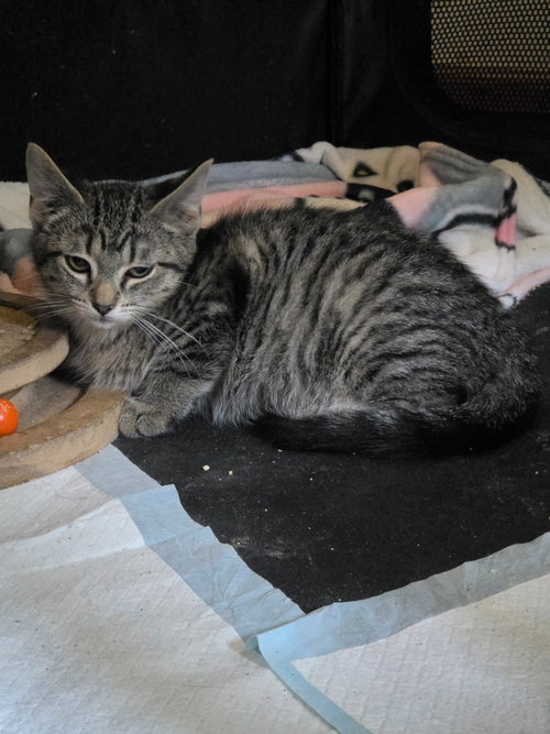 Photo 2 of Thelma