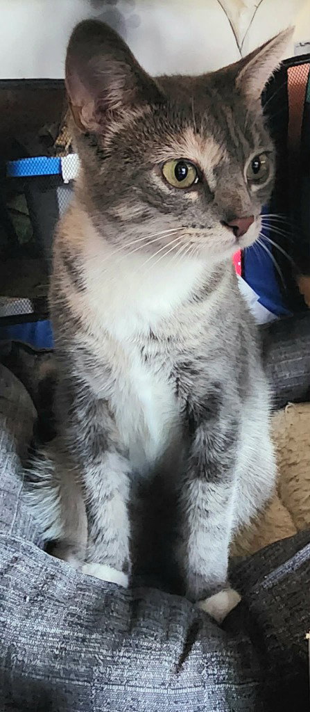 Eleanor