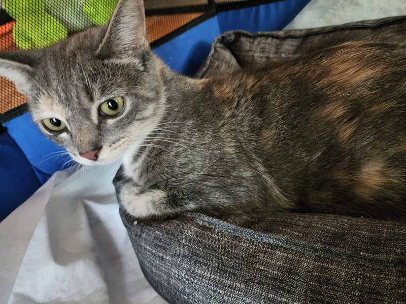 Eleanor, photo 2