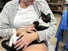 adoptable Cat in tampa, FL named Alex