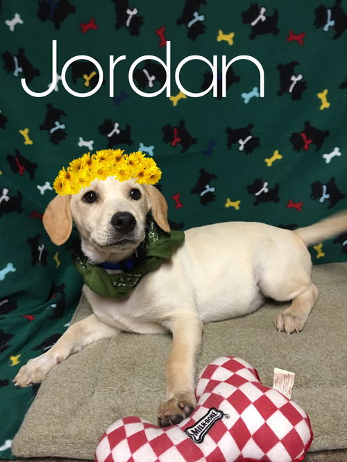 Jordan