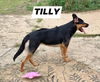 Tilly