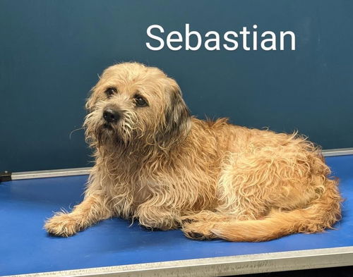 Sebastian