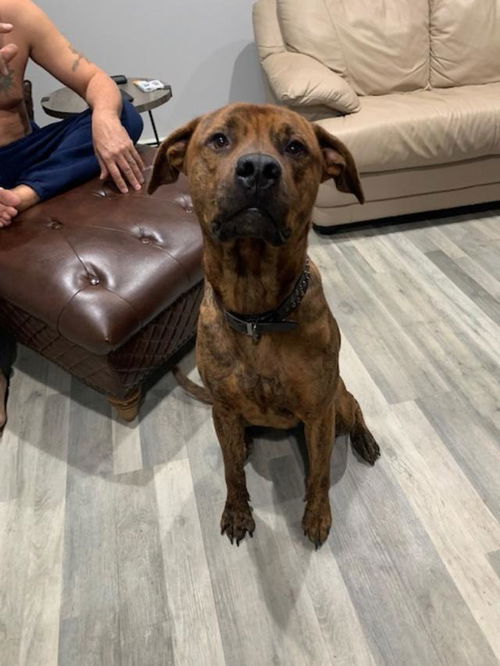 Tyson