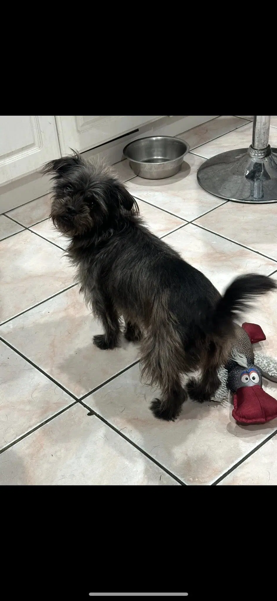 Chloe image 3