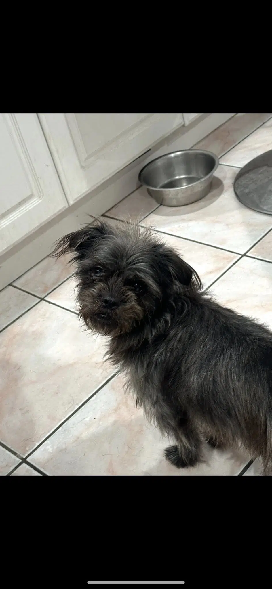 Chloe image 4