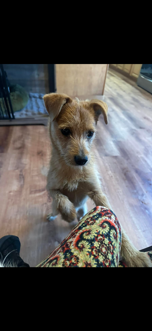 Charlie