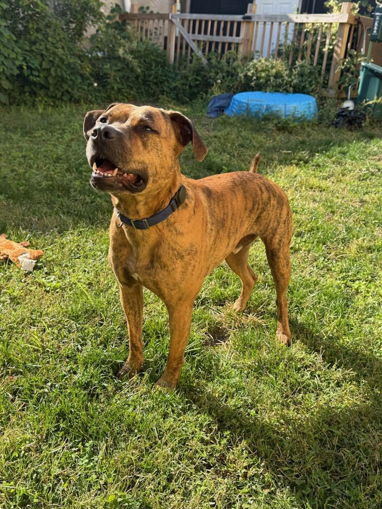 Jax