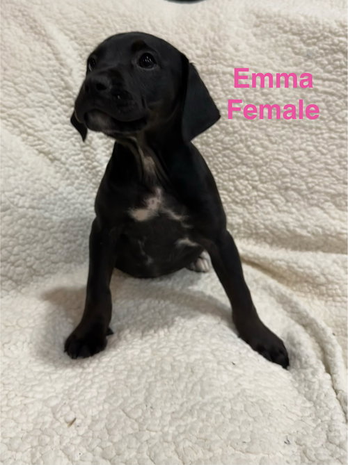 Emma