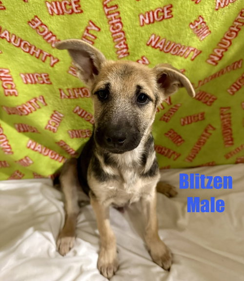Blitzen