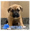 Postage