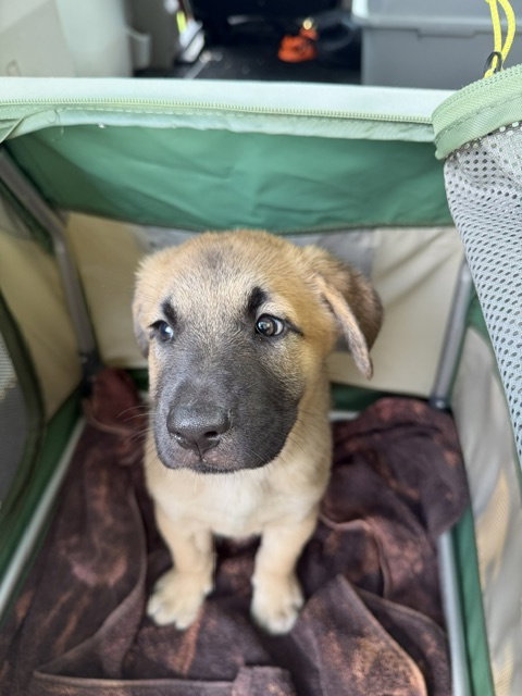 Sammy