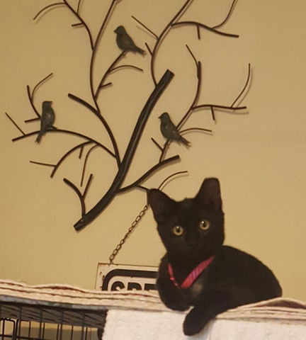 Pru