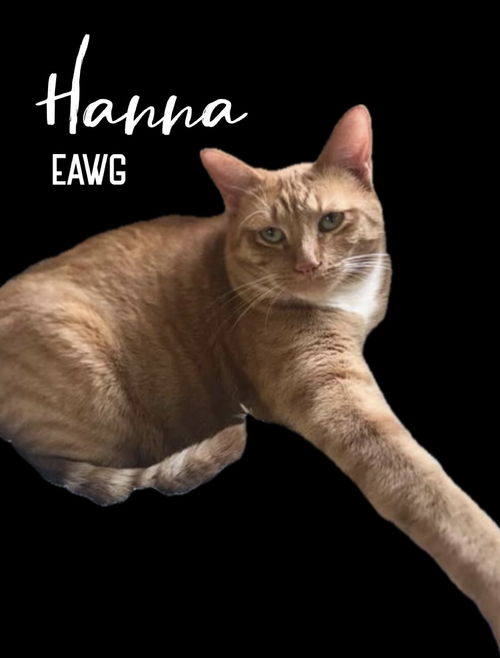 Hanna