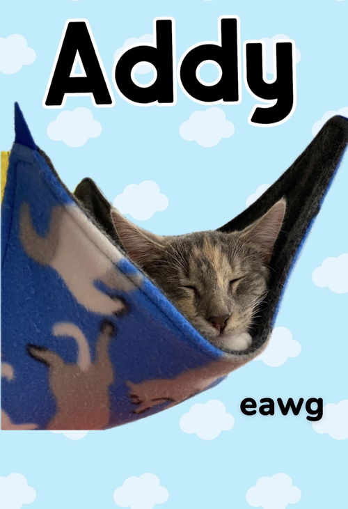 Addy