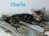 Charlie