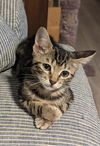 Charlie