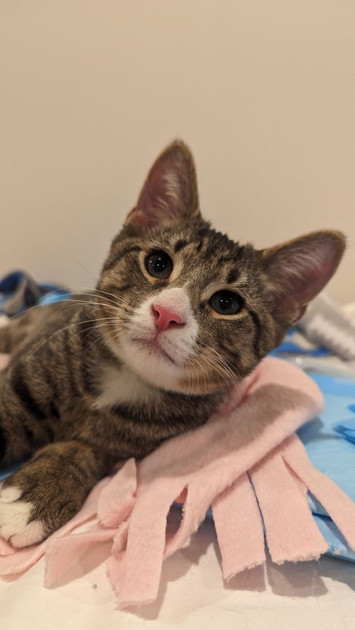 Oliver