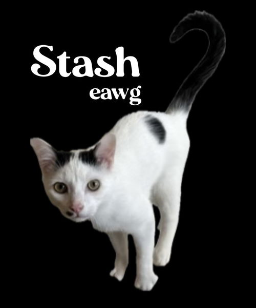 Stash